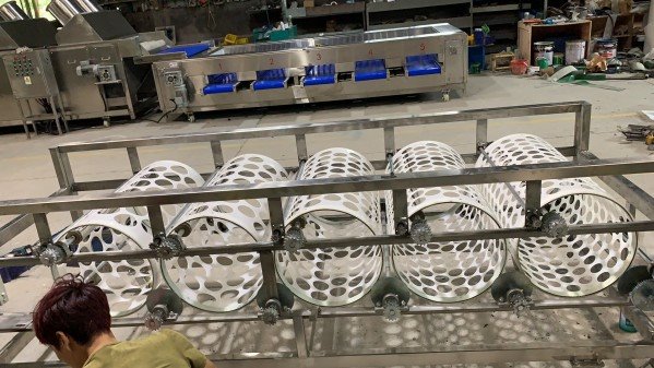 tomato sorting machine
