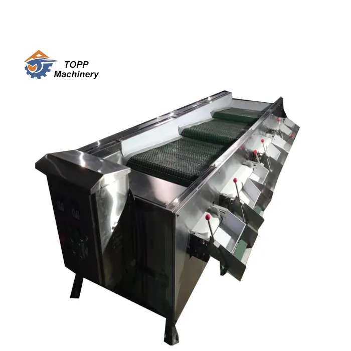 blueberry sorting blueberry sorting