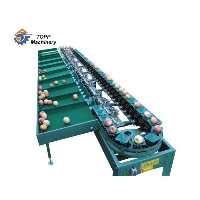 avocado sorting machine avocado sorting machine