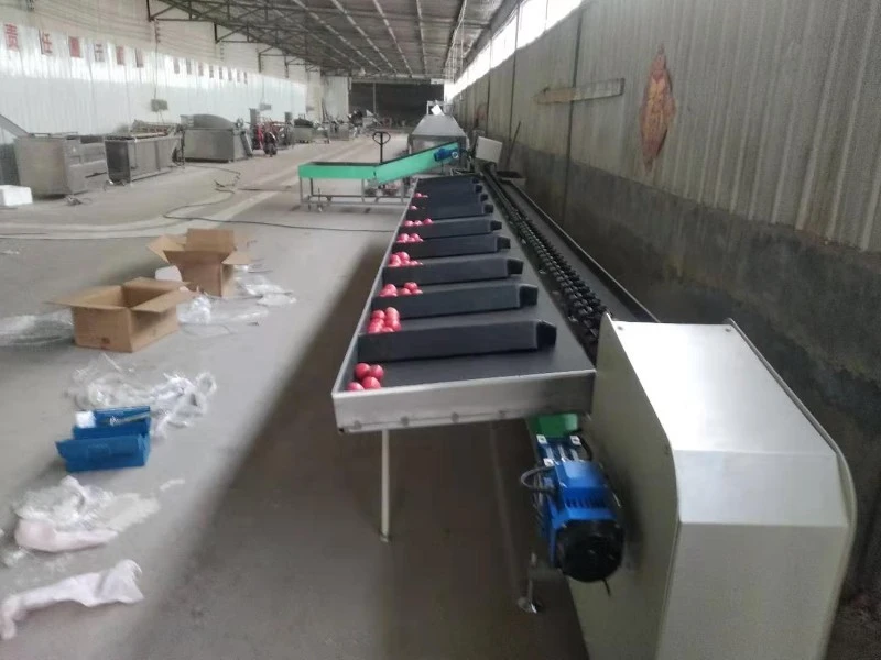apple sorting machine apple sorting machine