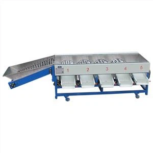 Mesin Penyortiran Lemon Apel