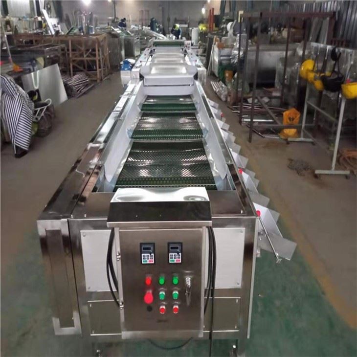 Kumquat Sorting Machine