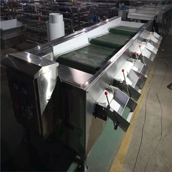 Longan Grading Machine