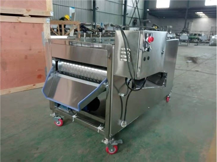 Mushroom Stipe Removing Machine