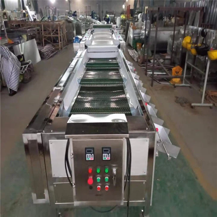 Blue-berry Size Sorting Machine