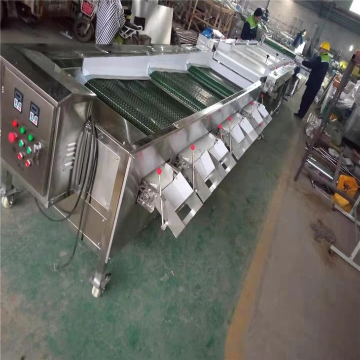 Blue-berry Size Sorting Machine