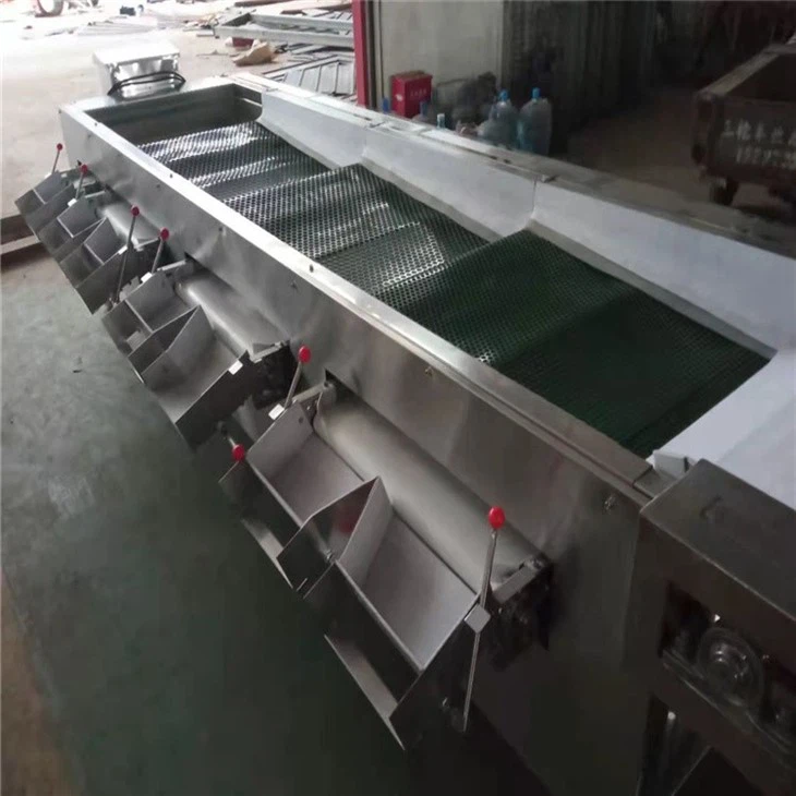 Blue-berry Size Sorting Machine