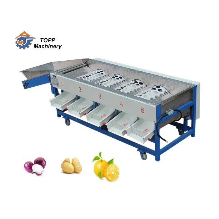 Mesin Sortasi Tomat Otomatis