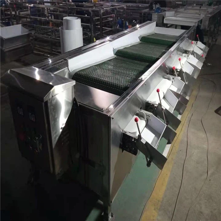 Blue-berry Size Sorting Machine