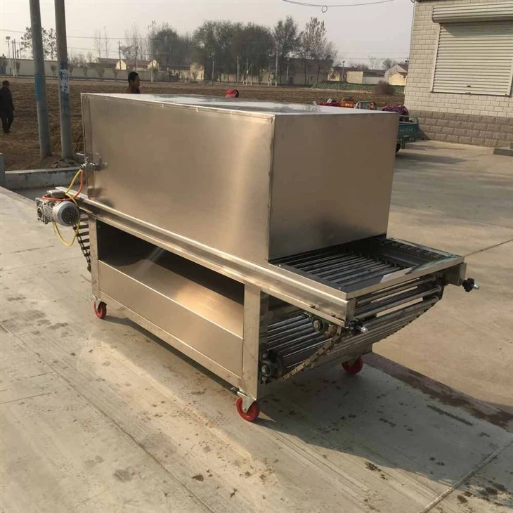 Dry Onion Peeling Machine