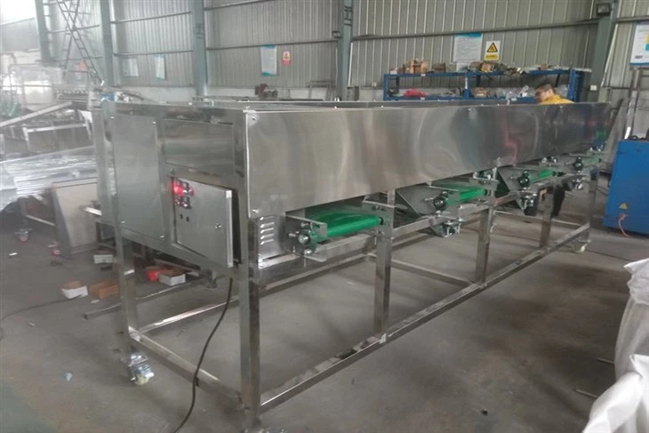 garlic sorter 8