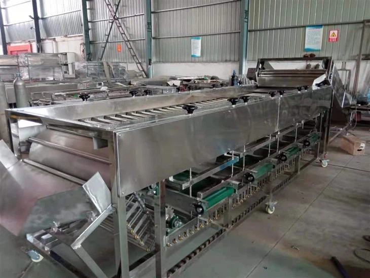 Potato Grader Machine