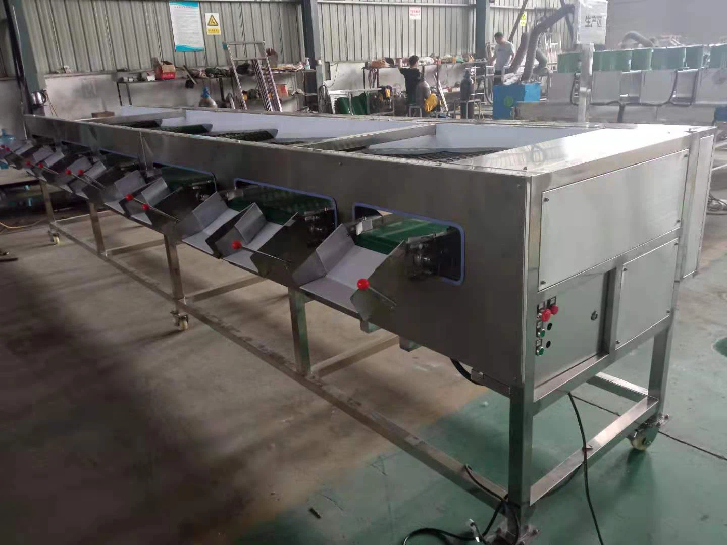 blueberry sorter blueberry sorter