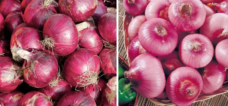 Dry Onion Peeling Machine 2 Dry Onion Peeling Machine 2