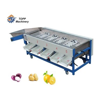 Mesin Sortasi Tomat Otomatis