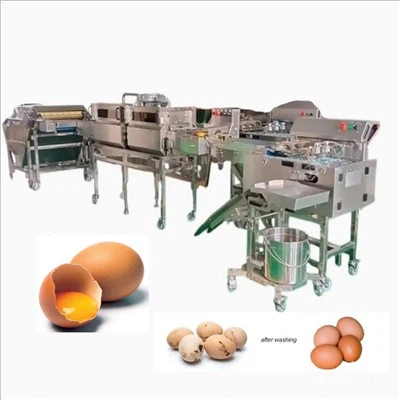 Lini Produksi Pencucian Telur