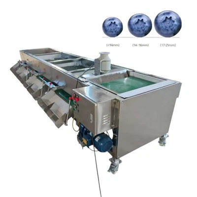 Mesin Sortasi Buah Blueberry Grader